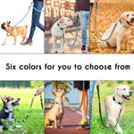 Load image into Gallery viewer, Matching Leash for Dog Collar
