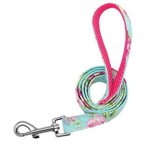 Matching Leash for Dog Collar