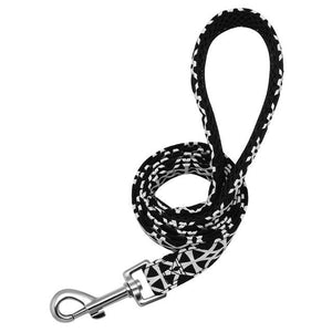 Matching Leash for Dog Collar