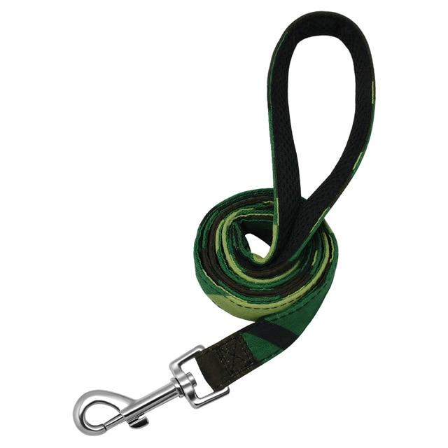 Matching Leash for Dog Collar