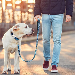 Matching Leash for Dog Collar