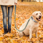 Load image into Gallery viewer, Matching Leash for Dog Collar
